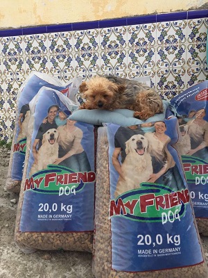 Futter für die Straßenhund 